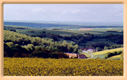 Puisaye Forterre landscape 